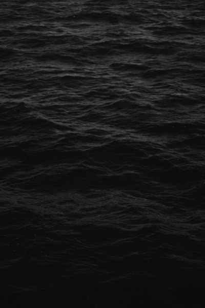 Черная вода