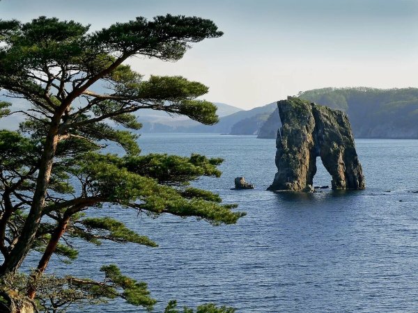 Полуостров Гамова Приморский край