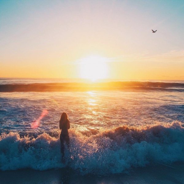 Созерцание природы