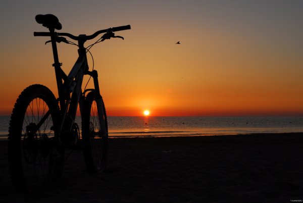 Велосипед на рассвете