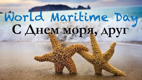 Дельфин в море