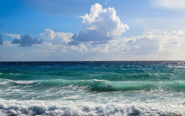 Океанский Прибой