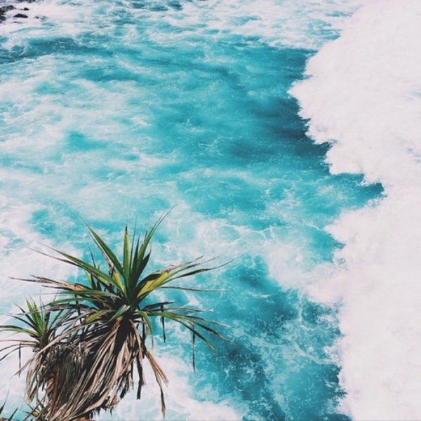 Лето Эстетика