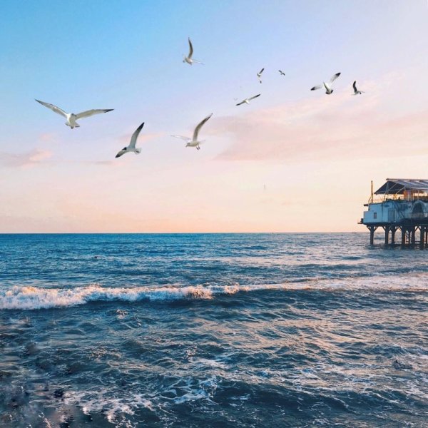 Море путешествие девушка