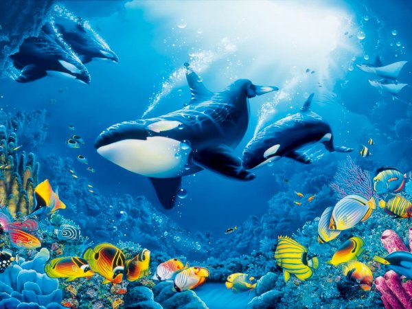 Морское дно с рыбками