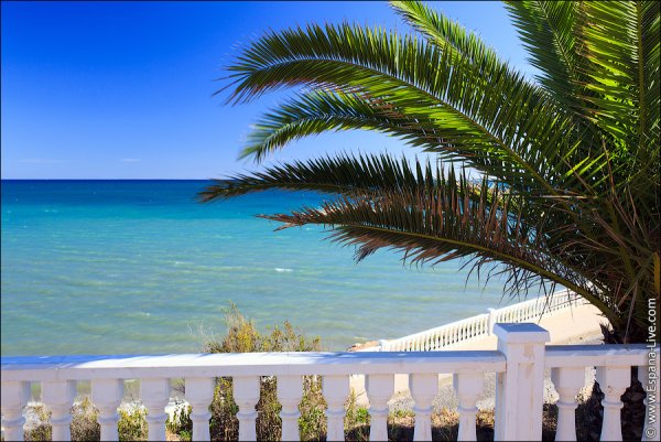 Сочи пальмы море