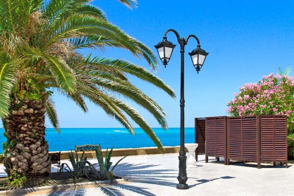 Сочи пляж пальмы