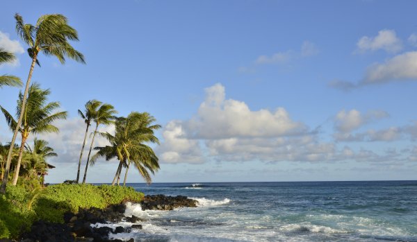 Пляж море тучи Пальма