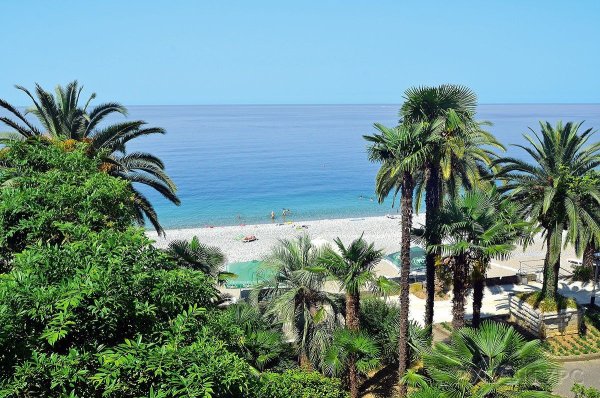 Нарт, Абхазия, Гагра, проспект Ардзинба