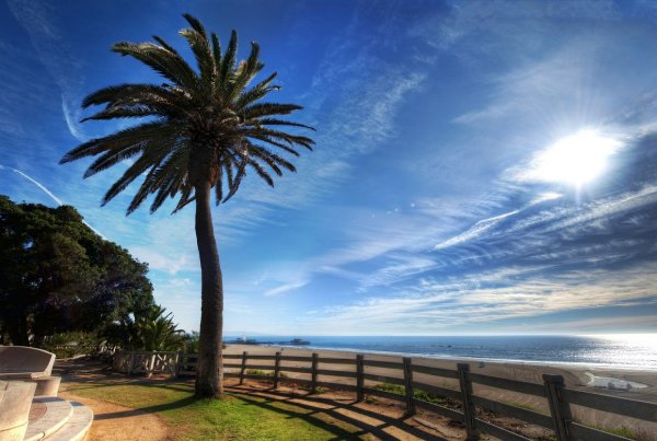 Пальмовая аллея в Лос Анджелесе