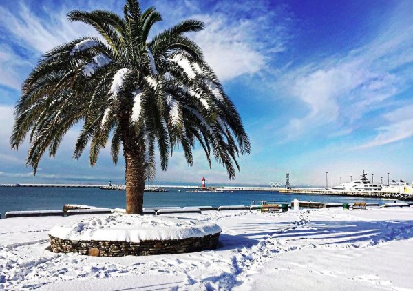 Климат в Сочи зимой