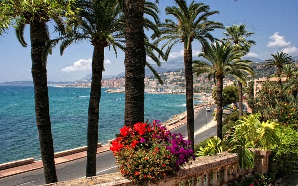 Франция субтропики Средиземноморья