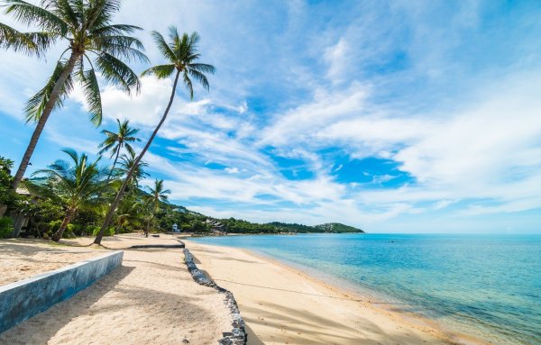 Пляж с пальмами