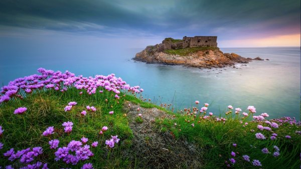 Цветущее побережье