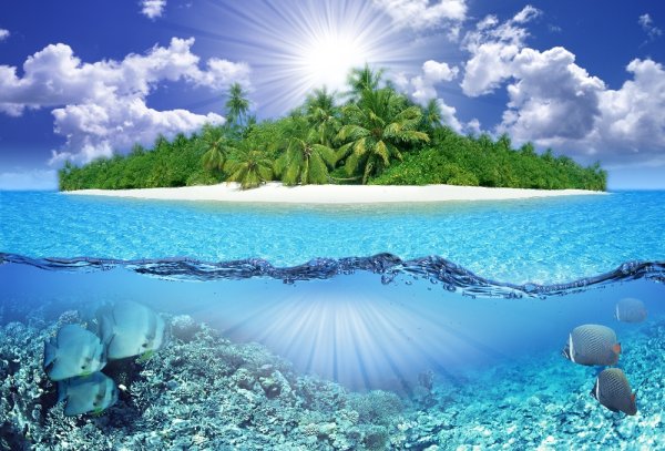 Море на прозрачном фоне