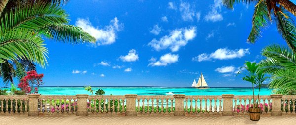 Пальмы и парусник