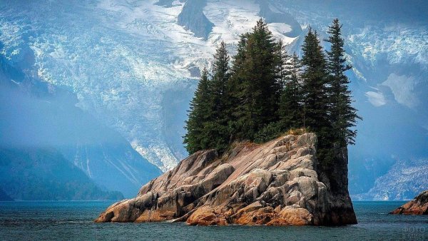 Телецкое озеро хвойные леса