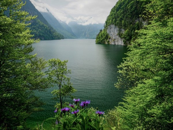 Красивый берег озера