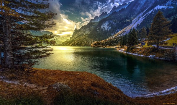 Пейзаж море лес