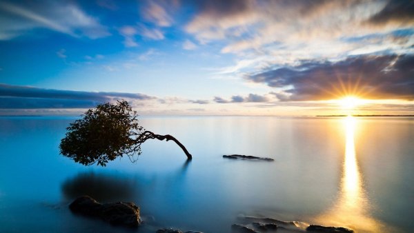 Спокойствие природа