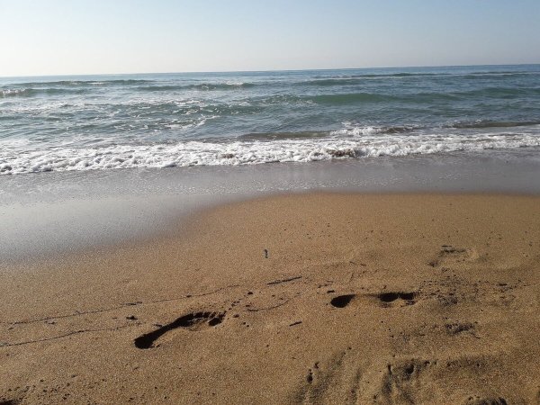 С возвращением домой с моря