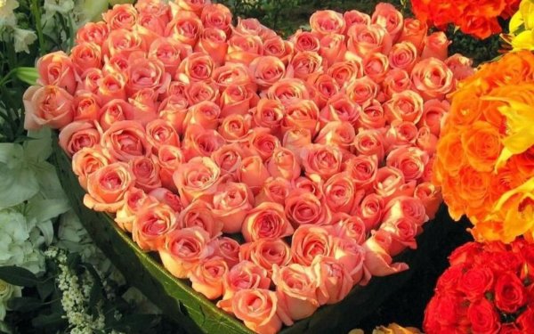 Море цветов для самой красивой