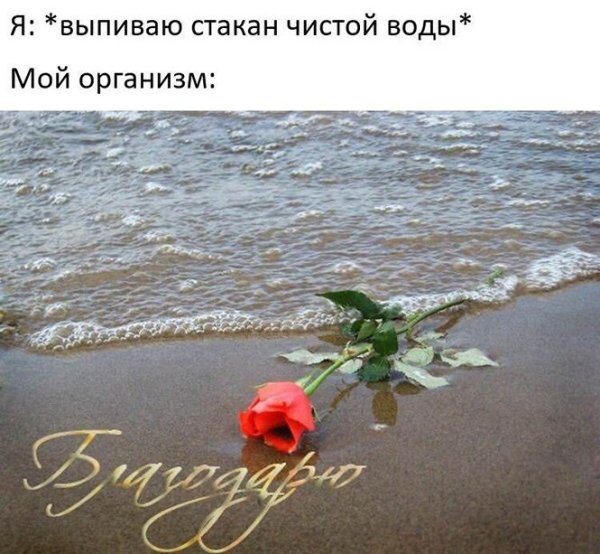 Спасибо море