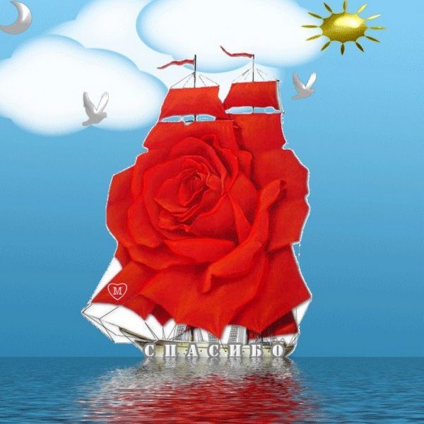 Алые паруса цветы