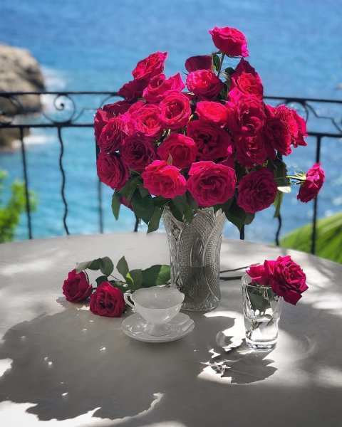 Ника Белоцерковская с цветами