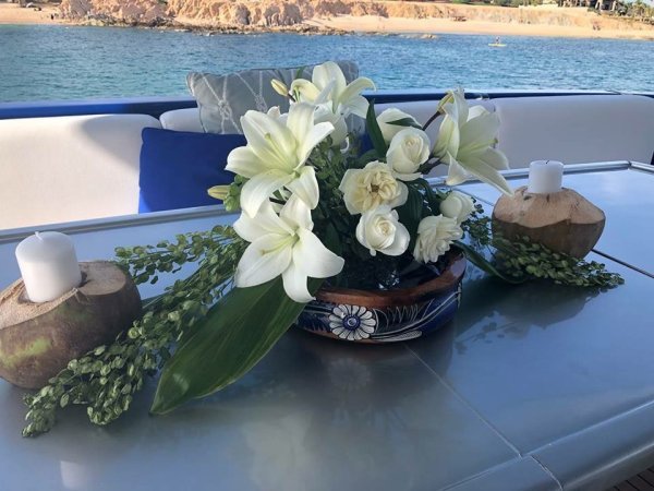 Женевское озеро горы цветы