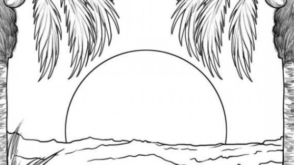 Раскраска ракушки маленькие