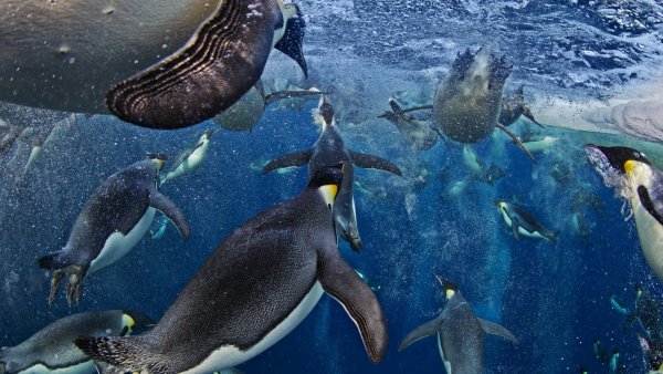 Пауль Никлен фотограф