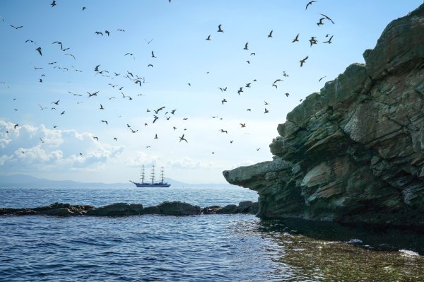 Маяк Владивосток Чайка парусник