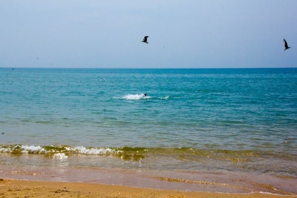 Черное море Витязево