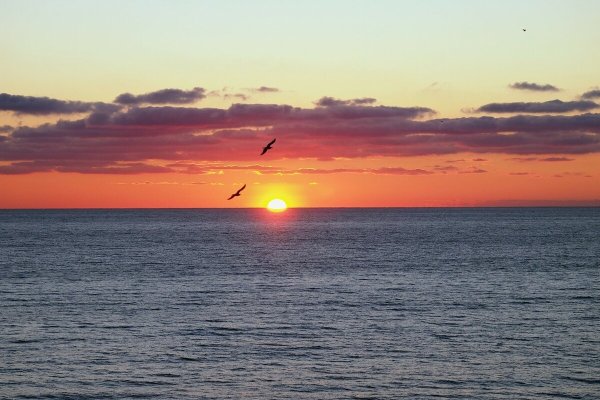 Черное море Анапа