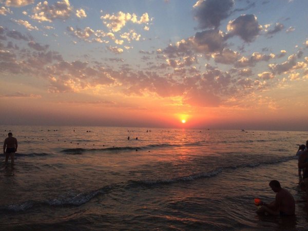 Анапа природа в городе