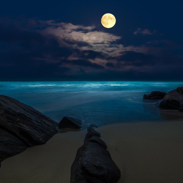 Ночное море