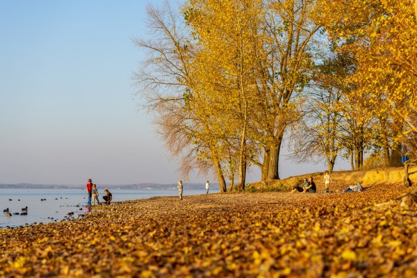 Осеннее море