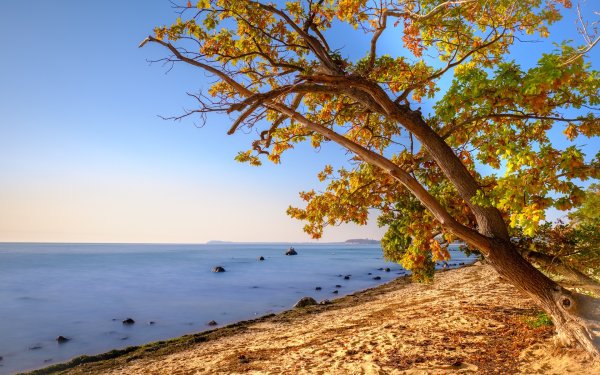 Море осенью