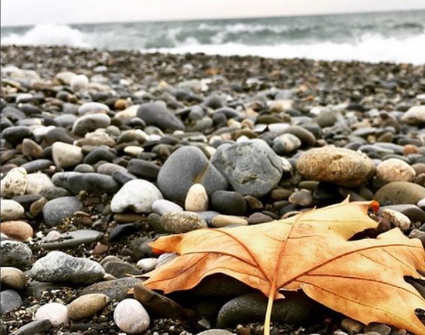 Осенний пляж