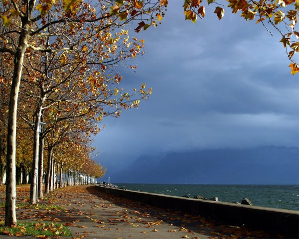 Осеннее море