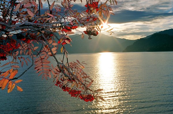 Штат Орегон океан