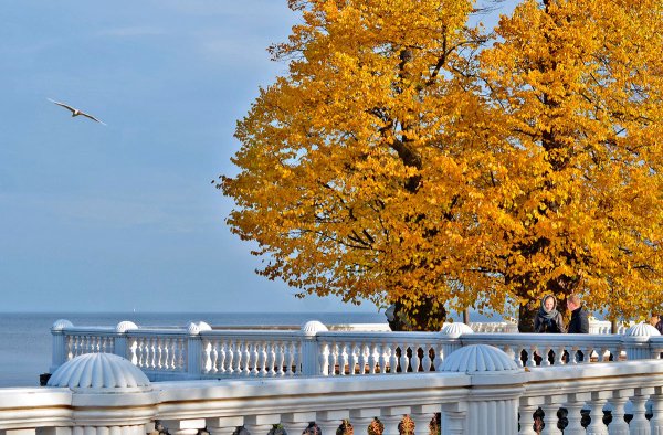 Листвянка Байкал осень