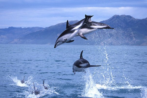 Kaikoura New Zealand