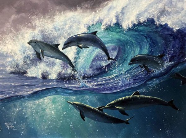 Море дельфины живопись