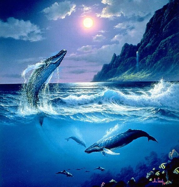 Дельфины прыгают на закате