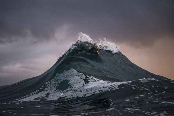 Рэй Коллинз фотограф