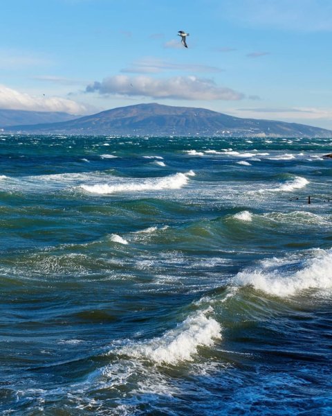 Новороссийск Novorossiysk море