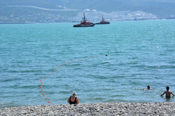 Черное море Новороссийск