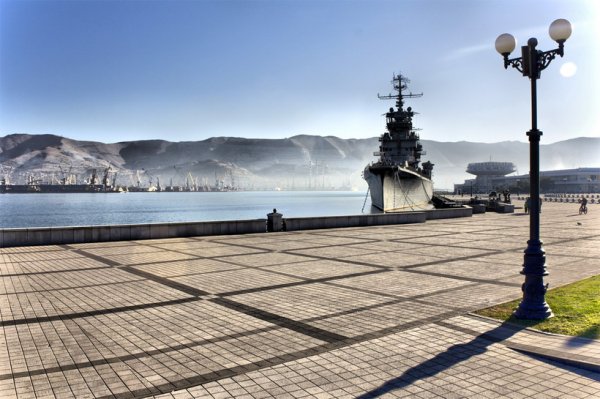 Чайки в порту Мурманска